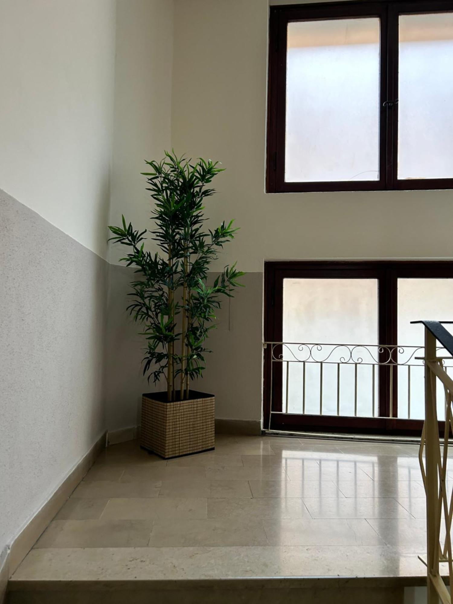 Hotel Cecile Πίζα Εξωτερικό φωτογραφία